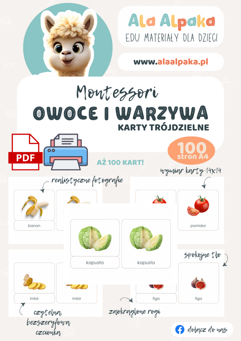 okladka Karty trójdzielne MONTESSORI - OWOCE I WARZYWA białe tło