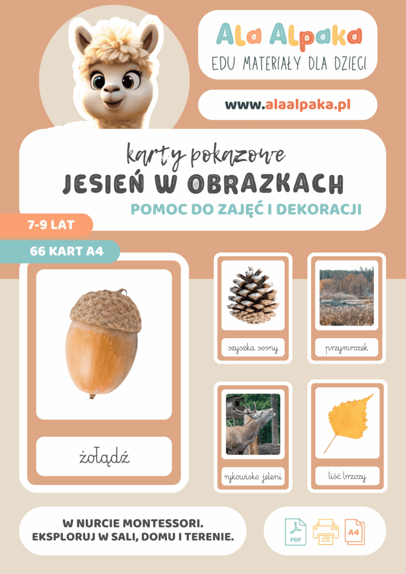 Karty Pokazowe Jesień