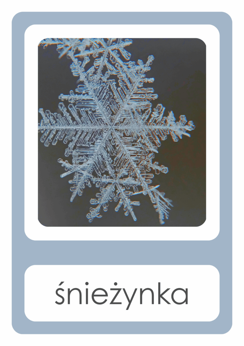 śnieżynka zima