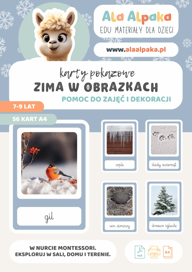 Karty demonstracyjne zima