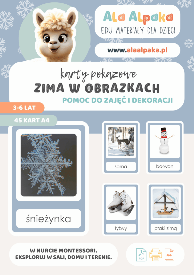 karty demonstracyjne zima